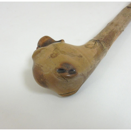 197 - A Folk Art carved hazel walking stick / cane, the root ball carved as the head of a boxer dog. the w... 