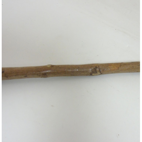 197 - A Folk Art carved hazel walking stick / cane, the root ball carved as the head of a boxer dog. the w... 