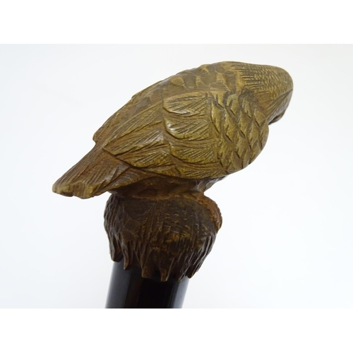 199 - A mid 20thC umbrella with Bakelite handle surmounted by carved figure of a bird. Approx 25'' long