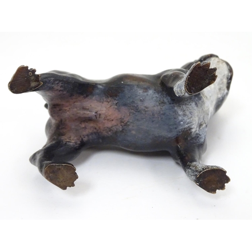 236 - A 21stC cold painted bronze figure of a French bulldog. Approx 4'' high