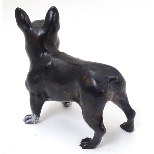 236 - A 21stC cold painted bronze figure of a French bulldog. Approx 4'' high