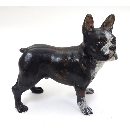 236 - A 21stC cold painted bronze figure of a French bulldog. Approx 4'' high