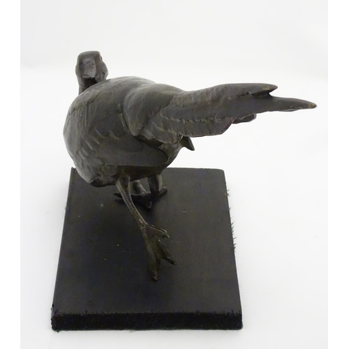 248A - A late 19th/ early 20thC patinated bronze model of a pheasant. Approx 18'' long x 11'' high