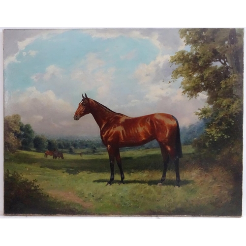 278 - Indistinctly signed, early XX equine school, Oil on canvas,  Portrait of a bay racehorse in the coun... 