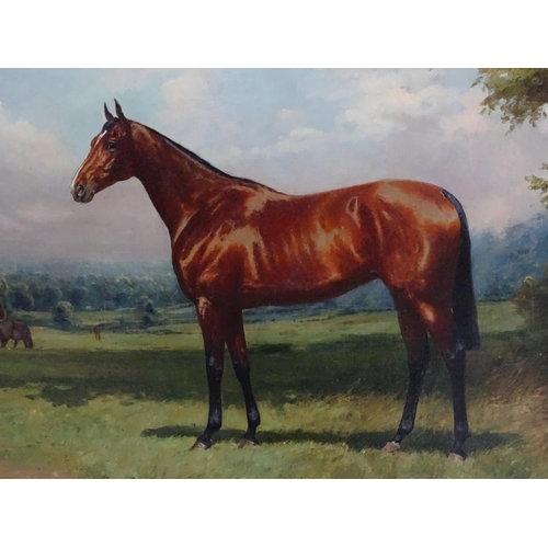 278 - Indistinctly signed, early XX equine school, Oil on canvas,  Portrait of a bay racehorse in the coun... 