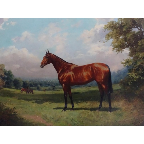 278 - Indistinctly signed, early XX equine school, Oil on canvas,  Portrait of a bay racehorse in the coun... 