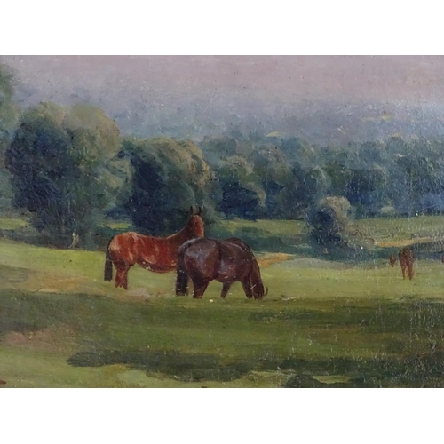 278 - Indistinctly signed, early XX equine school, Oil on canvas,  Portrait of a bay racehorse in the coun... 