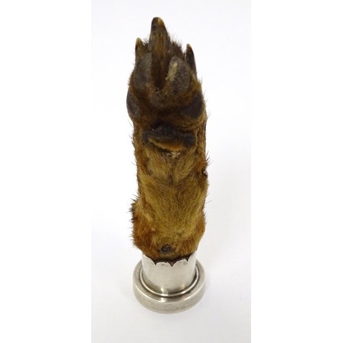 314 - A Victorian white metal mounted fox paw trophy / hand seal with seal end engraved and dated 1898. 5'... 