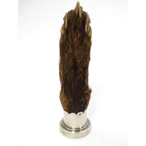 314 - A Victorian white metal mounted fox paw trophy / hand seal with seal end engraved and dated 1898. 5'... 