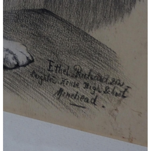 428 - Dog : Ethel Richardson XX , Pencil and pastel?The faithful dog , Signed lower right