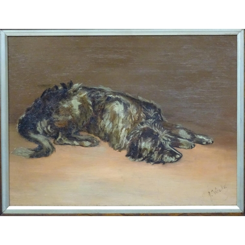 429 - Dog : John Wicks early XX Canine School, Oil on canvas?Study of a deer hound , Signed lower right 11... 