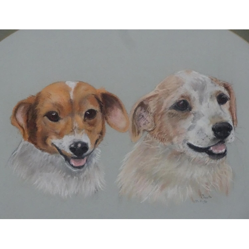 430 - Jay Jaselton 1998, Pastel , an oval , Canine School, A brace of terrier dogs, Signed and dated ' 19.... 