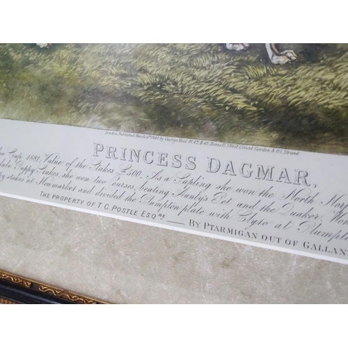 437 - Greyhound dog : Edwin Henry Hunt (XIX), Hand coloured lithograph, 'Princess Dagmar ....' ( mentions ... 