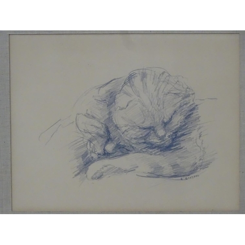 439 - Cats: Elisabeth Breydel (1907-1977), Pencil, 'Sleeping brothers ' kittens asleep , Signed lower righ... 