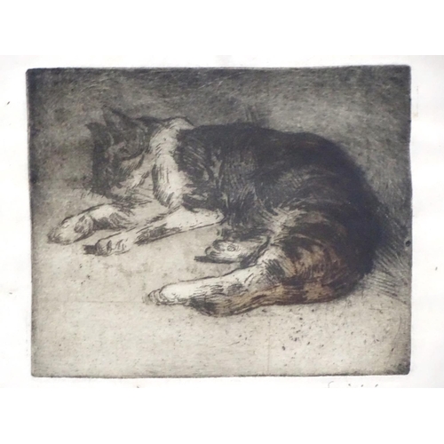 440 - Cat : Ferdinand-Jean Luigini, Coloured Etching, 'Chat en repos (Cat resting) '   Signed lower right ... 