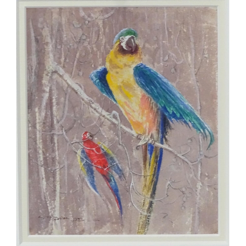 46 - Gail Bulen c.1940, Watercolour, Wild Macaw Parrots, Signed lower left, 6 3/4 x 5 1/2''