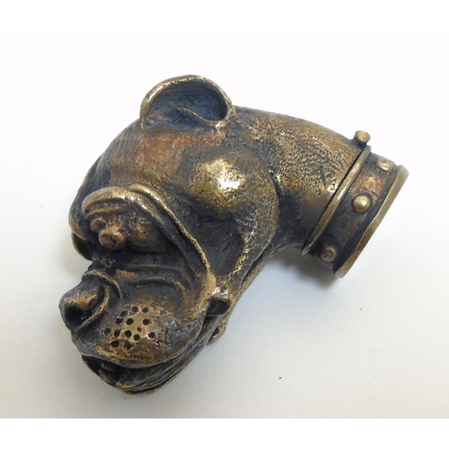 465 - A novelty vesta case formed at the head of a dog. Approx 1 1/4'' high