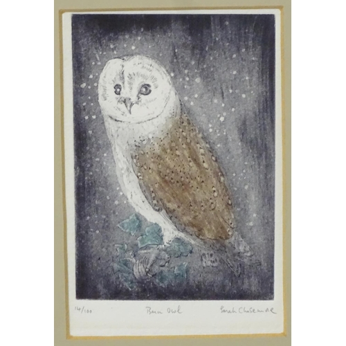 47 - Sarah Chasemore XX, Limited edition coloured etching 14/100, ' Barn Owl ' in the snow, Signed , numb... 