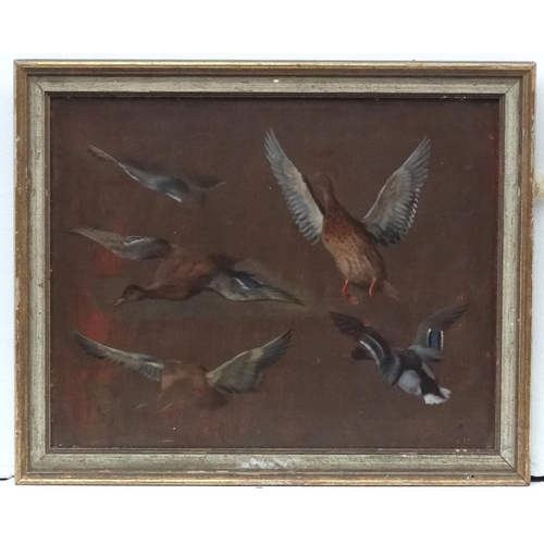 48 - Edgar Hunt (1876-1953), Oil on board, Study of duck c.1927, Ascribed verso. 7 3/4 x 9 3/4