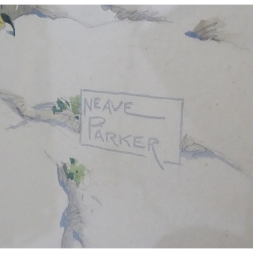 50 - William Neave Parker (1910-1961), Watercolour, 'Peregrine Falcon ', Signed lower right and titled un... 