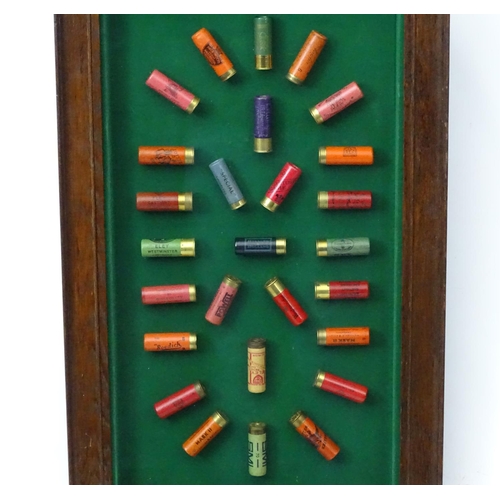 526 - Cartridge display board: A 20thC shotgun cartridge display case, the baize lined shadow box with oak... 