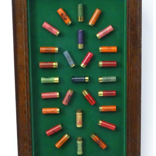 526 - Cartridge display board: A 20thC shotgun cartridge display case, the baize lined shadow box with oak... 