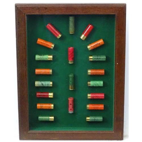 527 - Cartridge display board: A 20thC shotgun cartridge display case, the baize lined shadow box with oak... 