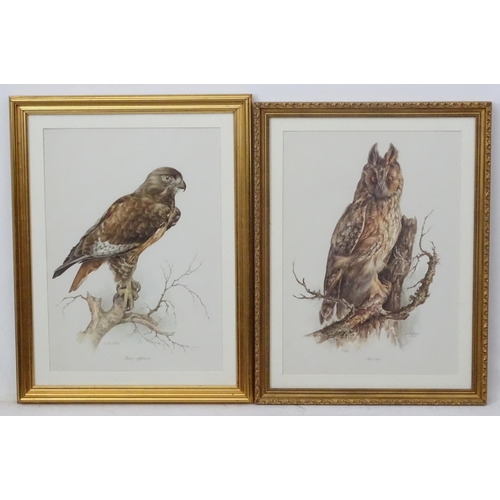 59 - After Wilhelm Buhler (1924-2004) German, 4 coloured engravings, Asia-outs ( Long Eared Owl ), Accipi... 