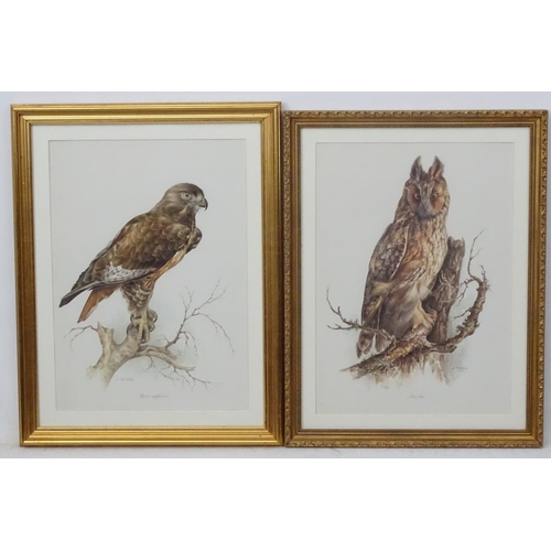 59 - After Wilhelm Buhler (1924-2004) German, 4 coloured engravings, Asia-outs ( Long Eared Owl ), Accipi... 