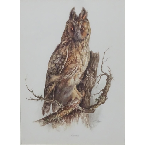 59 - After Wilhelm Buhler (1924-2004) German, 4 coloured engravings, Asia-outs ( Long Eared Owl ), Accipi... 