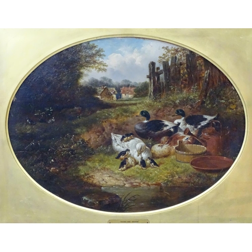 60 - John Frederick Herring  Jnr ( 1815-1907), Oil on canvas , an oval, ' Duck And Drakes ' , ducks and d... 