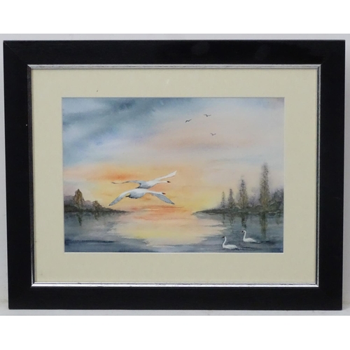 67 - Indistinctly Signed XX, Watercolour, Swans at sunset, Signed lower left, 10 x 13 7/8''