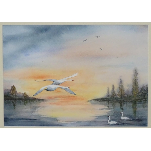 67 - Indistinctly Signed XX, Watercolour, Swans at sunset, Signed lower left, 10 x 13 7/8''