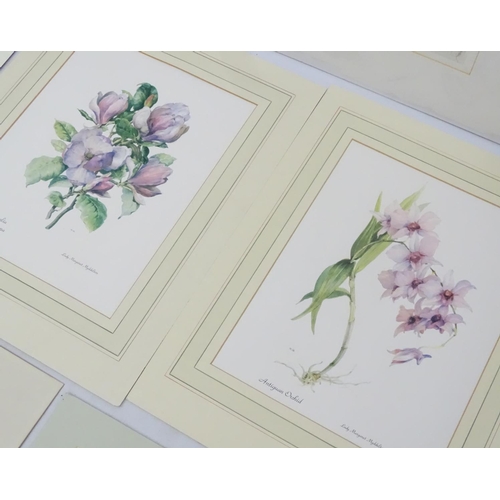 69 - Botanical Prints, 14 hand coloured aquatints and prints, The largest 14 1/2'' x 14 1/2''