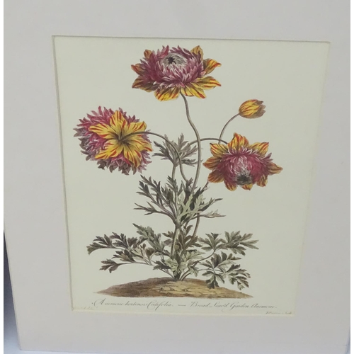 69 - Botanical Prints, 14 hand coloured aquatints and prints, The largest 14 1/2'' x 14 1/2''