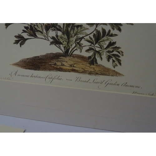 69 - Botanical Prints, 14 hand coloured aquatints and prints, The largest 14 1/2'' x 14 1/2''