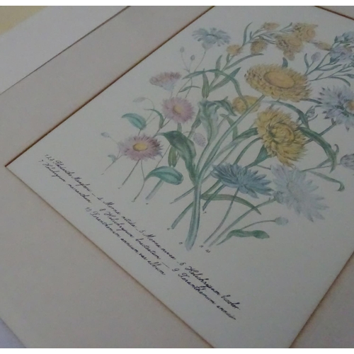 69 - Botanical Prints, 14 hand coloured aquatints and prints, The largest 14 1/2'' x 14 1/2''