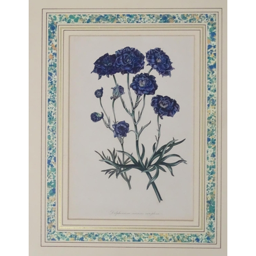 69 - Botanical Prints, 14 hand coloured aquatints and prints, The largest 14 1/2'' x 14 1/2''