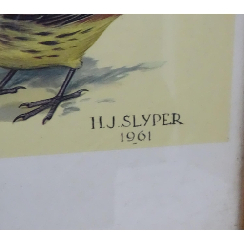 70A - Royal Society Protection of Birds after HJ Slyper 1960/61, 4 1960 British Bird identification poster... 