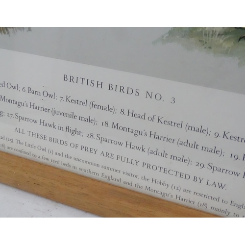 70A - Royal Society Protection of Birds after HJ Slyper 1960/61, 4 1960 British Bird identification poster... 