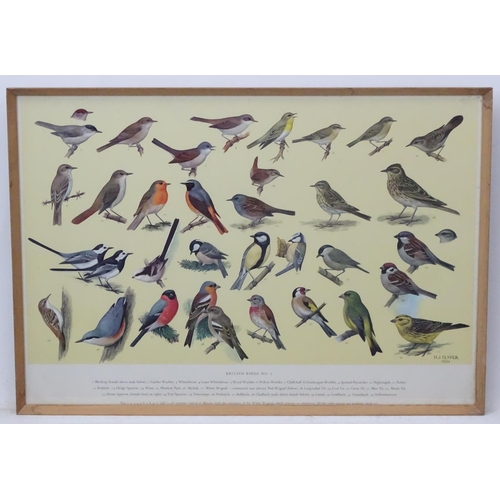 70A - Royal Society Protection of Birds after HJ Slyper 1960/61, 4 1960 British Bird identification poster... 