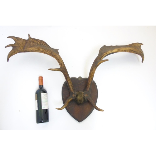 86 - Taxidermy: A pair of Victorian Fallow Deer antlers, mounted upon a heart-shaped mahogany shield, 36'... 