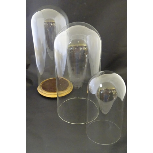 95 - Taxidermy: Three assorted dome covers, one having a gilt and brown baize base, the largest  16'' tal... 