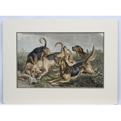 256 - Bloodhounds: After J Bledloe Godward (act 1880-1894), Hand coloured etching, Bloodhounds on the scen... 