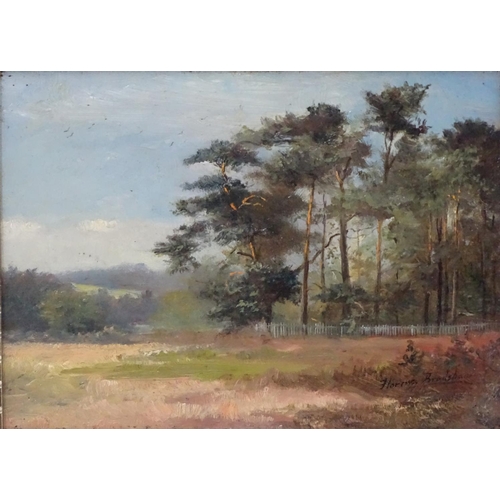 142 - Florina Bradshaw XIX-XX, Oil on board, Conifer Copse in a landscape, Signed lower right. 5 3/4 x 7 3... 