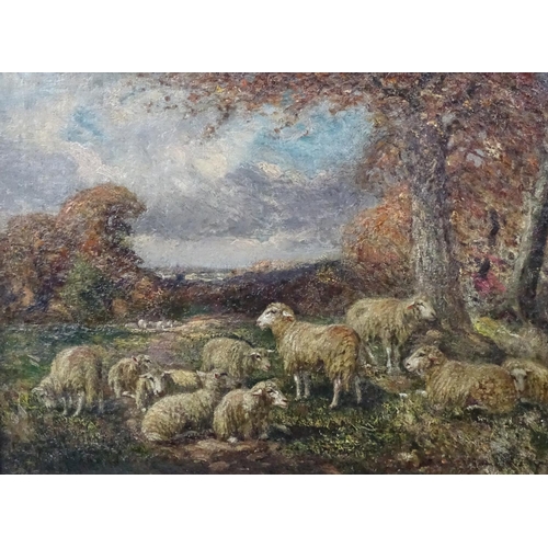 24 - William Macbride (1856-1913), Scottish, Oil on canvas, Sheep in a landscape, Indistinctly signed low... 