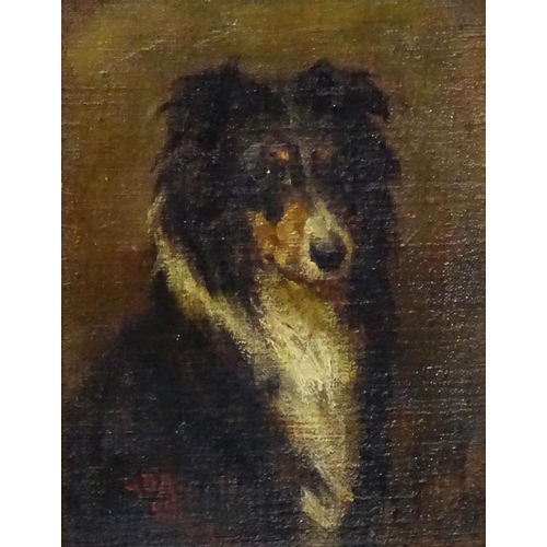 30 - George Denholm Armour (1864-1949), Scottish, Oil on canvas board,  Canine School, Portrait of a coll... 