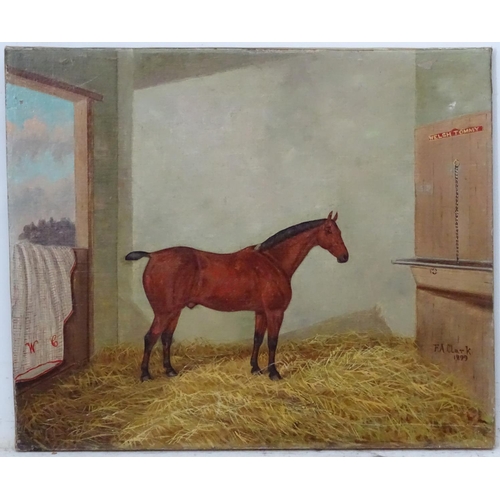 34 - F A Clark XIX-XX Equine School, Oil on canvas, 'Welsh Tommy ' a Hunter horse in a stable has blanket... 