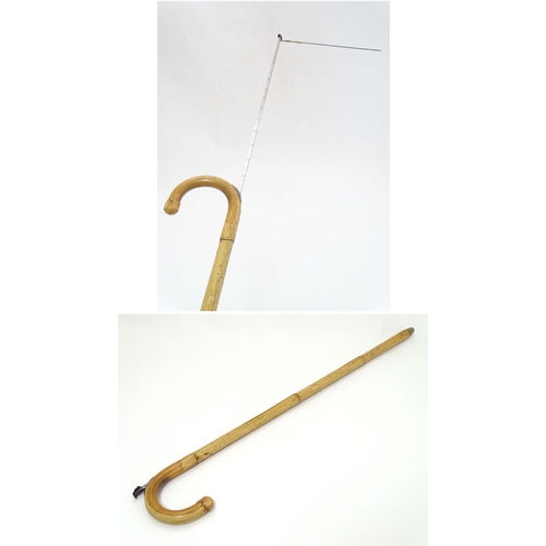 Horse Measuring Walking Cane - Old Fashion Rattan