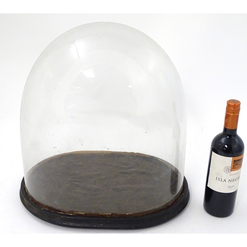 122 - Glass dome : a Victorian glass taxidermy dome with ebonised base /socle, 17'' high x 10 1/2'' wide x... 